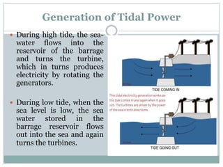 Generation of Tidal Power
 During high tide, the sea-
 water flows into the
 reservoir of the barrage
 and turns the turbine,
 which in turns produces
 electricity by rotating the
 generators.

 During low tide, when the
 sea level is low, the sea
 water stored in the
 barrage reservoir flows
 out into the sea and again
 turns the turbines.
 