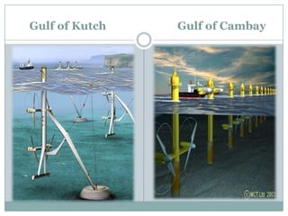 Gulf of Kutch   Gulf of Cambay
 