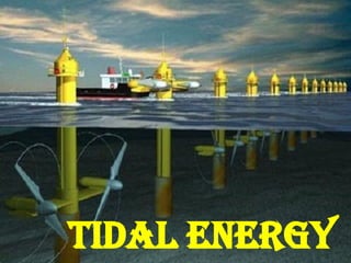 Tidal Energy
 