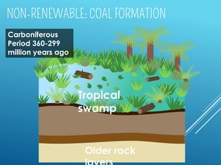 Tropical
swamp
Older rock
Carboniferous
Period 360-299
million years ago
 