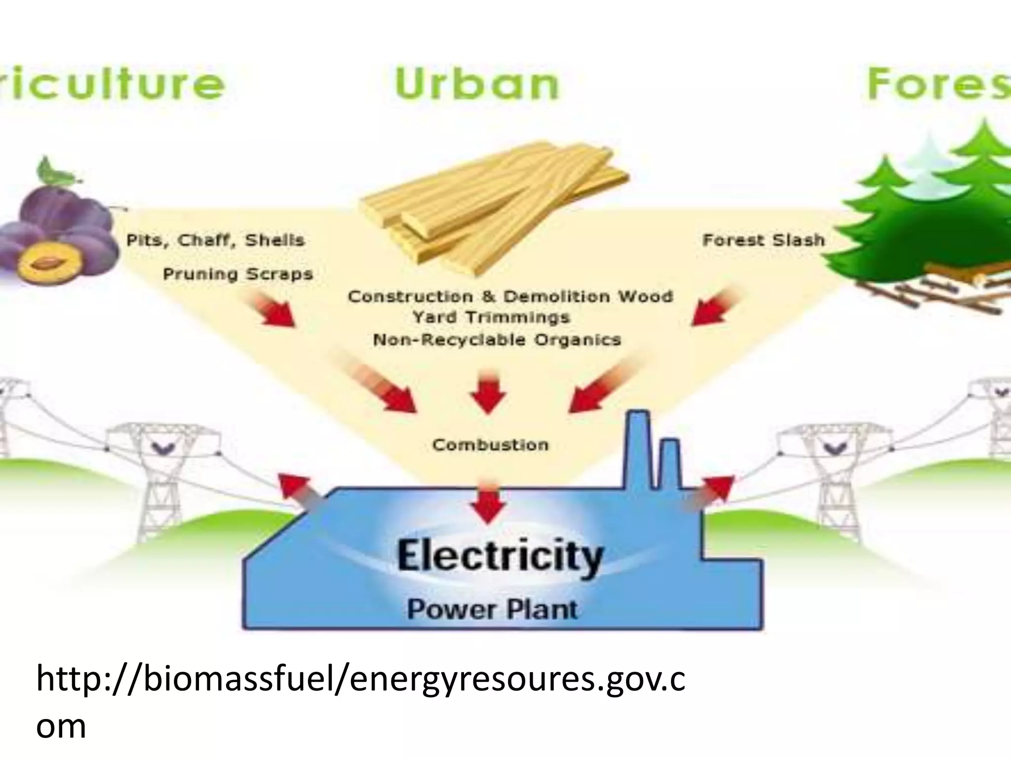 http://biomassfuel/energyresoures.gov.c
om
 