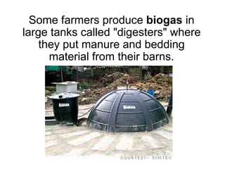 Some farmers produce biogas in
large tanks called "digesters" where
they put manure and bedding
material from their barns.
 