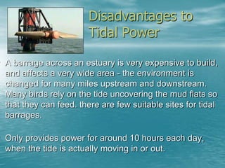 Disadvantages to 
Tidal Power 
• A barrage across an estuary is very expensive to build, 
and affects a very wide area - the environment is 
changed for many miles upstream and downstream. 
Many birds rely on the tide uncovering the mud flats so 
that they can feed. there are few suitable sites for tidal 
barrages. 
• Only provides power for around 10 hours each day, 
when the tide is actually moving in or out. 
 