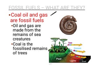 FOSSIL FUELS – WHAT ARE THEY?



Coal oil and gas
are fossil fuels
Oil and gas are
made from the
remains of sea
creatures
Coal is the
fossilised remains
of trees
 