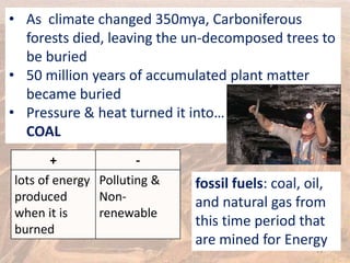 13
• As climate changed 350mya, Carboniferous
forests died, leaving the un-decomposed trees to
be buried
• 50 million years of accumulated plant matter
became buried
• Pressure & heat turned it into…
COAL
fossil fuels: coal, oil,
and natural gas from
this time period that
are mined for Energy
+ -
lots of energy
produced
when it is
burned
Polluting &
Non-
renewable
 