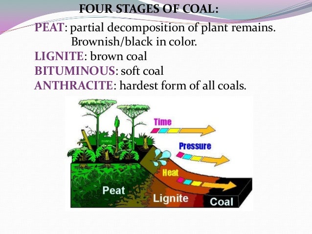 Is Peat A Natural Resource Used For Energy Is Peat A Natural Resource Used For Energy