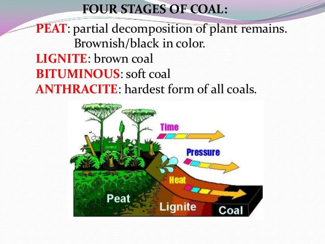 Is Peat A Natural Resource Used For Energy Is Peat A Natural Resource Used For Energy