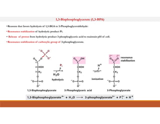 1,3-Bisphosphoglycerate (1,3-BPA)
•Reasons that favors hydrolysis of 1,3-BGA to 3-Phosphoglyceraldehyde:
•Resonance stabilization of hydrolytic product Pi.
• Release of proton from hydrolytic product 3-phosphoglyceric acid to maintain pH of cell.
•Resonance stabilization of carboxylic group of 3-phosphoglycerate.
 