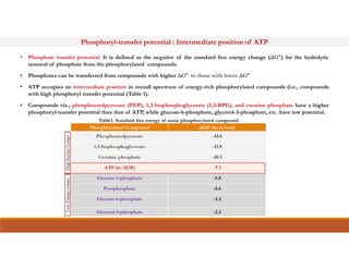 • Phosphate transfer potential: It is defined as the negative of the standard free energy change (ΔG0’) for the hydrolytic
removal of phosphate from the phosphorylated compounds.
• Phosphates can be transferred from compounds with higher ΔG0’. to those with lower ΔG0’.
• ATP occupies an intermediate position in overall spectrum of energy-rich phosphorylated compounds (i.e., compounds
with high phosphoryl transfer potential (Table 1).
• Compounds viz., phosphoenolpyruvate (PEP), 1,3-bisphosphoglycerate (1,3-BPG), and creatine phosphate have a higher
phosphoryl-transfer potential than that of ATP, while glucose-6-phosphate, glycerol-3-phosphate, etc. have low potential.
Phosphoryl-transfer potential : Intermediate position of ATP
Phosphorylated Compound ΔG0‘ (kcal/mol)
Phosphoenolpyruvate -14.8
1,3-bisphosphoglycerate -11.8
Creatine phosphate -10.3
ATP (to ADP) -7.3
Glucose-1-phosphate -5.0
Pyrophosphate -4.6
Glucose-6-phosphate -3.3
Glycerol-3-phosphate -2.2
Table1. Standard free energy of some phosphorylated compound
High
Energy
Comps
Low
Energy
comps
 