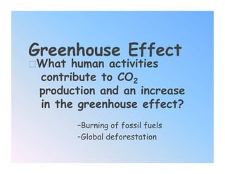 Greenhouse Effect
 What human activities
  contribute to CO2
  production and an increase
  in the greenhouse effect?
        – Burning of fossil fuels
        – Global deforestation
 