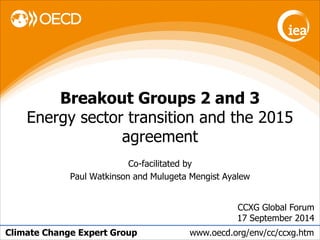 Climate Change Expert Group 
www.oecd.org/env/cc/ccxg.htm 
CCXG Global Forum 17 September 2014 
Breakout Groups 2 and 3 Energy sector transition and the 2015 agreement 
Co-facilitated by 
Paul Watkinson and Mulugeta Mengist Ayalew 
 