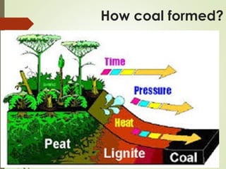 How coal formed?
 