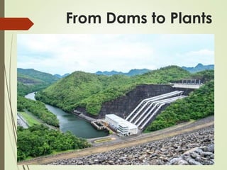 From Dams to Plants
 