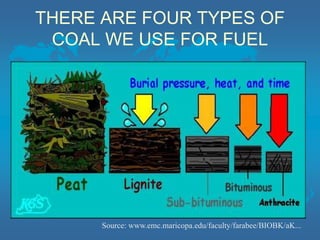 THERE ARE FOUR TYPES OF
COAL WE USE FOR FUEL
Source: www.emc.maricopa.edu/faculty/farabee/BIOBK/aK...
 