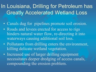 In Louisiana, Drilling for Petroleum has
Greatly Accelerated Wetland Loss
• Canals dug for pipelines promote soil erosion.
• Roads and levees erected for access to rigs
hinders natural water flow, re-directing it into
waterways causing additional soil loss.
• Pollutants from drilling enters the environment,
killing delicate wetland vegetation.
• Increased use of larger drilling equipment
necessitates deeper dredging of access canals,
compounding the erosion problem.
 