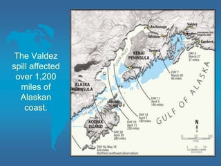The Valdez
spill affected
over 1,200
miles of
Alaskan
coast.
 