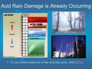 Acid Rain Damage is Already Occurring
• To see a better depiction of the acid rain cycle, click HERE
 