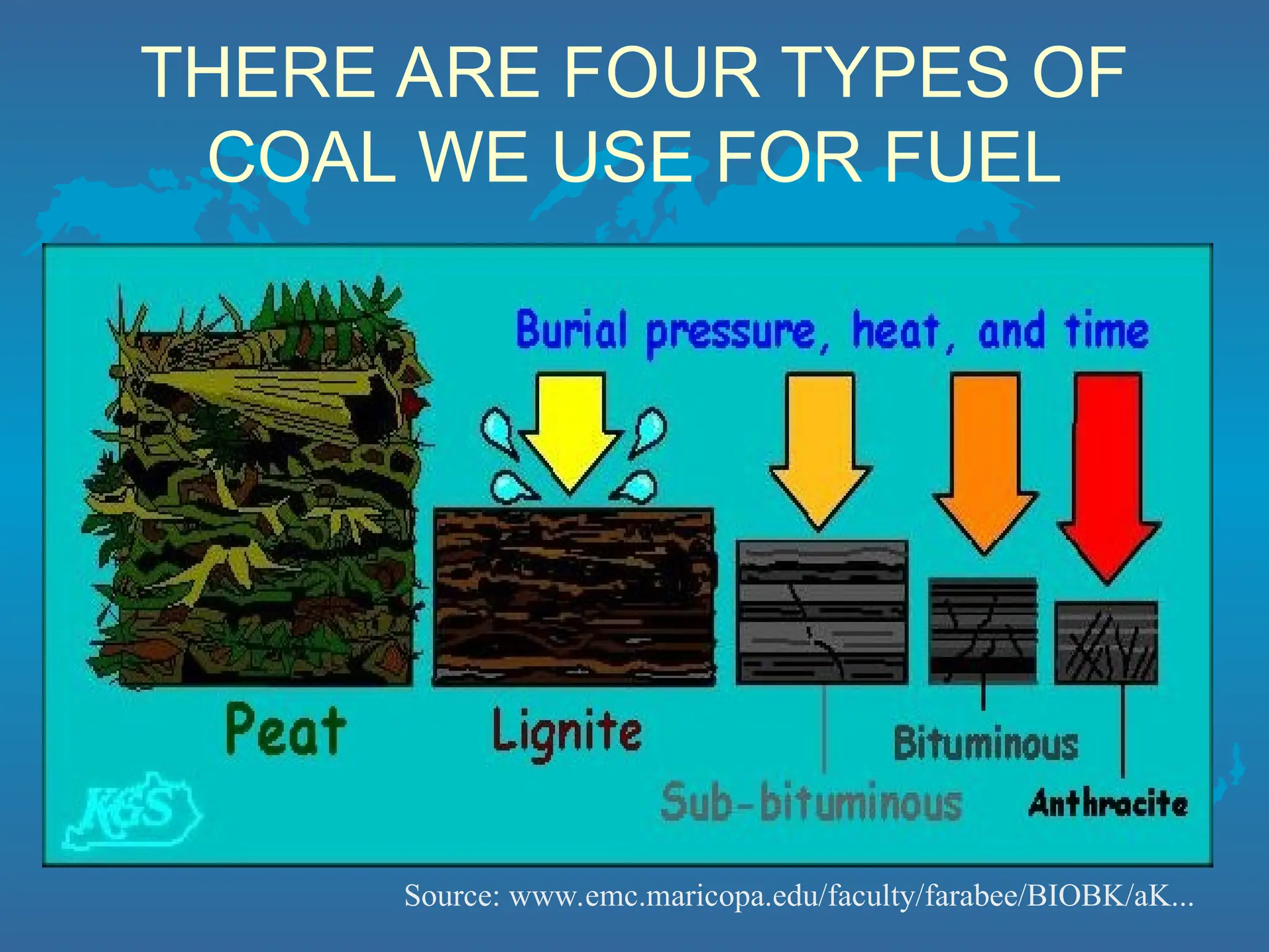 THERE ARE FOUR TYPES OF
COAL WE USE FOR FUEL
Source: www.emc.maricopa.edu/faculty/farabee/BIOBK/aK...
 