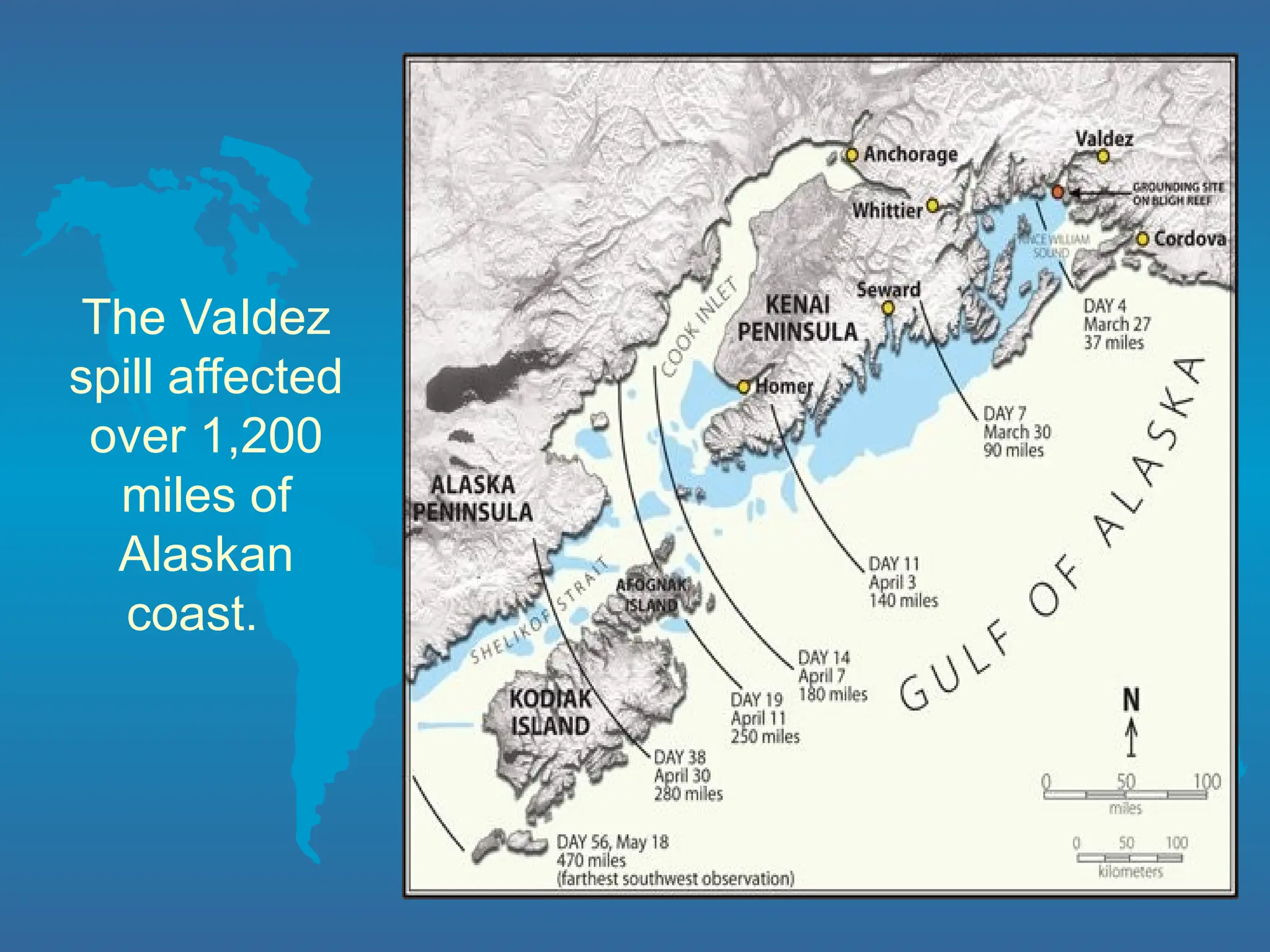 The Valdez
spill affected
over 1,200
miles of
Alaskan
coast.
 