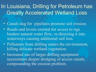 In Louisiana, Drilling for Petroleum has
Greatly Accelerated Wetland Loss
• Canals dug for pipelines promote soil erosion.
• Roads and levees erected for access to rigs
hinders natural water flow, re-directing it into
waterways causing additional soil loss.
• Pollutants from drilling enters the environment,
killing delicate wetland vegetation.
• Increased use of larger drilling equipment
necessitates deeper dredging of access canals,
compounding the erosion problem.
 