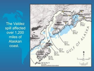 The Valdez
spill affected
over 1,200
miles of
Alaskan
coast.
 