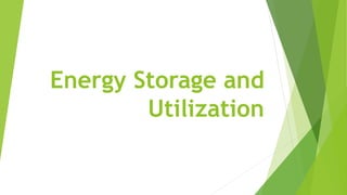 Energy Storage and
Utilization
 