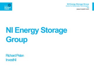 NI Energy Storage
Group
RichardPelan
InvestNI
NI Energy Storage Group
Centre for Sustainable Technologies,
UU
www.investni.com
 
