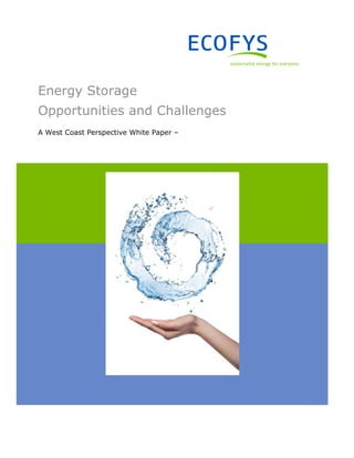 Energy Storage
Opportunities and Challenges
A West Coast Perspective White Paper –
 