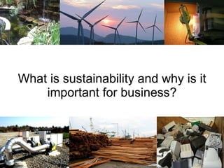 What is sustainability and why is it important for business? 