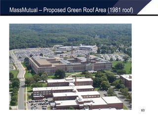 MassMutual – Proposed Green Roof Area (1981 roof) 
