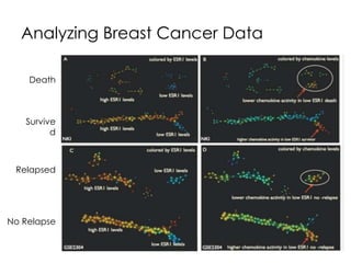Analyzing Breast Cancer Data 
Death 
Survive 
d 
Relapsed 
No Relapse 
 