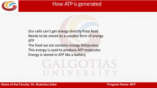 How ATPis generated
Name of the Faculty: Dr. Shahiduz Zafar Program Name: BPT
Our cells can’t get energy directly from food
Needs to be stored as a useable form of energy
ATP
The food we eat contains energy (kilojoules)
This energy is used to produce ATP molecules
Energy is stored in ATP like a battery
 