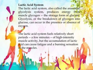 Lactic Acid System
The lactic acid system, also called the anaerobic
glycolysis system, produces energy from
muscle glycogen -- the storage form of glucose.
Glycolysis, or the breakdown of glycogen into
glucose, can occur in the presence or absence of
oxygen.
The lactic acid system fuels relatively short
periods -- a few minutes -- of high-intensity
muscle activity, but the accumulation of lactic
acid can cause fatigue and a burning sensation
in the muscles.
 
