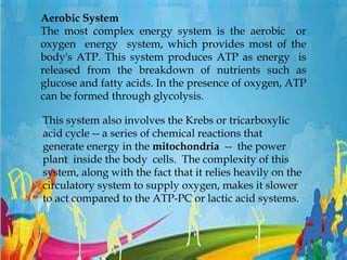 Aerobic System
The most complex energy system is the aerobic or
oxygen energy system, which provides most of the
body's ATP. This system produces ATP as energy is
released from the breakdown of nutrients such as
glucose and fatty acids. In the presence of oxygen, ATP
can be formed through glycolysis.
This system also involves the Krebs or tricarboxylic
acid cycle -- a series of chemical reactions that
generate energy in the mitochondria -- the power
plant inside the body cells. The complexity of this
system, along with the fact that it relies heavily on the
circulatory system to supply oxygen, makes it slower
to act compared to the ATP-PC or lactic acid systems.
 