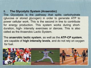 B. The Glycolytic System (Anaerobic)
The Glycolysis is the pathway that splits carbohydrate
(glucose or stored glycogen) in order to generate ATP to
power cellular work. This is the second in line to contribute
for energy production. This system works during short-
duration, high- intensity exercises or dances. This is also
called as the Anaerobic Lactic System.
The anaerobic lactic system, as well as the ATP-CP system,
are capable of high intensity levels, and do not rely on oxygen
for fuel.
 
