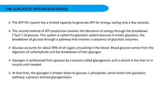 THE GLYCOLYTIC SYSTEM (GLYCOLYSIS)
 The ATP-PCr system has a limited capacity to generate ATP for energy, lasting only a few seconds.
 The second method of ATP production involves the liberation of energy through the breakdown
(“lysis”) of glucose. This system is called the glycolytic system because it entails glycolysis, the
breakdown of glucose through a pathway that involves a sequence of glycolytic enzymes.
 Glucose accounts for about 99% of all sugars circulating in the blood. Blood glucose comes from the
digestion of carbohydrate and the breakdown of liver glycogen.
 Glycogen is synthesized from glucose by a process called glycogenesis and is stored in the liver or in
muscle until needed.
 At that time, the glycogen is broken down to glucose-1-phosphate, which enters the glycolysis
pathway, a process termed glycogenolysis.
 
