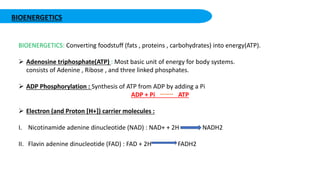 BIOENERGETICS
BIOENERGETICS: Converting foodstuff (fats , proteins , carbohydrates) into energy(ATP).
 Adenosine triphosphate(ATP) : Most basic unit of energy for body systems.
consists of Adenine , Ribose , and three linked phosphates.
 ADP Phosphorylation : Synthesis of ATP from ADP by adding a Pi
ADP + Pi ATP
 Electron (and Proton [H+]) carrier molecules :
I. Nicotinamide adenine dinucleotide (NAD) : NAD+ + 2H NADH2
II. Flavin adenine dinucleotide (FAD) : FAD + 2H FADH2
 