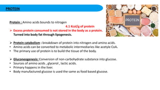 PROTEIN
Protein : Amino acids bounds to nitrogen
4.1 Kcal/g of protein
 Excess protein consumed is not stored in the body as a protein.
Turned into body fat through lipogenesis.
 Protein catabolism : breakdown of protein into nitrogen and amino acids.
• Amino acids can be converted to metabolic intermediaries like acetyle CoA.
• The primary use of protein is to build the tissue of the body.
 Gluconeogenesis: Conversion of non-carbohydrate substance into glucose.
• Sources of amino acids , glycerol , lactic acids.
• Primary happens in the liver.
• Body manufactured glucose is used the same as food based glucose.
 