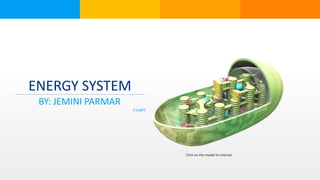 ENERGY SYSTEM
BY: JEMINI PARMAR
F.Y.MPT
Click on the model to interact
 