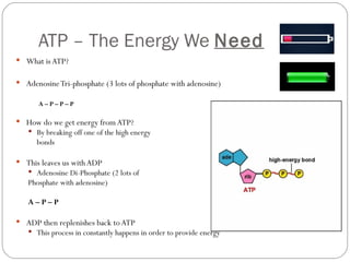 ATP – The Energy We  Need What is ATP? Adenosine Tri-phosphate (3 lots of phosphate with adenosine) A – P – P – P How do we get energy from ATP? By breaking off one of the high energy bonds This leaves us with ADP Adenosine Di-Phosphate (2 lots of  Phosphate with adenosine) A – P – P ADP then replenishes back to ATP This process in constantly happens in order to provide energy 