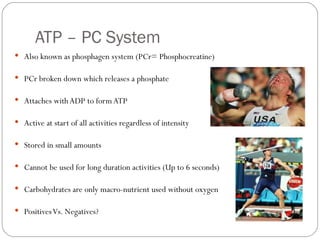 ATP – PC System Also known as phosphagen system (PCr= Phosphocreatine) PCr broken down which releases a phosphate Attaches with ADP to form ATP Active at start of all activities regardless of intensity Stored in small amounts Cannot be used for long duration activities (Up to 6 seconds) Carbohydrates are only macro-nutrient used without oxygen  Positives Vs. Negatives? 