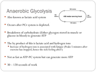 Anaerobic Glycolysis Also known as lactate acid system Occurs after PCr system is depleted. Breakdown of carbohydrate (Either glycogen stored in muscle or glucose in blood) to generate ATP The by product of this is lactate acid and hydrogen ions Increase of hydrogen ions is associated with fatigue (Peaks 5 minutes after exercise has stopped, hence the sick feeling after!) Not as fast as ATP-PC system but can generate more ATP 30 – 120 seconds of work 