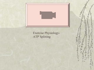 Exercise Physiology-
ATP Splitting
 