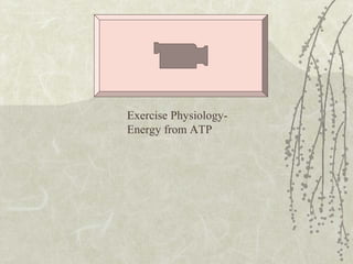 Exercise Physiology-
Energy from ATP
 