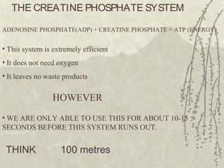 THE CREATINE PHOSPHATE SYSTEM
ADENOSINE PHOSPHATE(ADP) + CREATINE PHOSPHATE = ATP (ENERGY)
• This system is extremely efficient
• It does not need oxygen
• It leaves no waste products
HOWEVER
• WE ARE ONLY ABLE TO USE THIS FOR ABOUT 10-15
SECONDS BEFORE THIS SYSTEM RUNS OUT.
THINK 100 metres
 