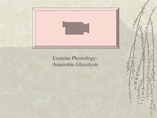 Exercise Physiology-
Anaerobic Glycolysis
 