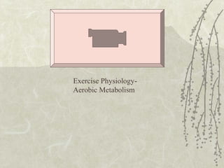 Exercise Physiology-
Aerobic Metabolism
 