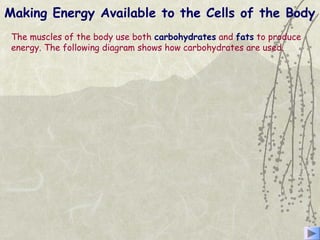 Making Energy Available to the Cells of the Body
The muscles of the body use both carbohydrates and fats to produce
energy. The following diagram shows how carbohydrates are used.
 