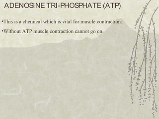 ADENOSINE TRI-PHOSPHATE (ATP)
•This is a chemical which is vital for muscle contraction.
•Without ATP muscle contraction cannot go on.
 