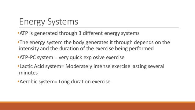 atp energy system
